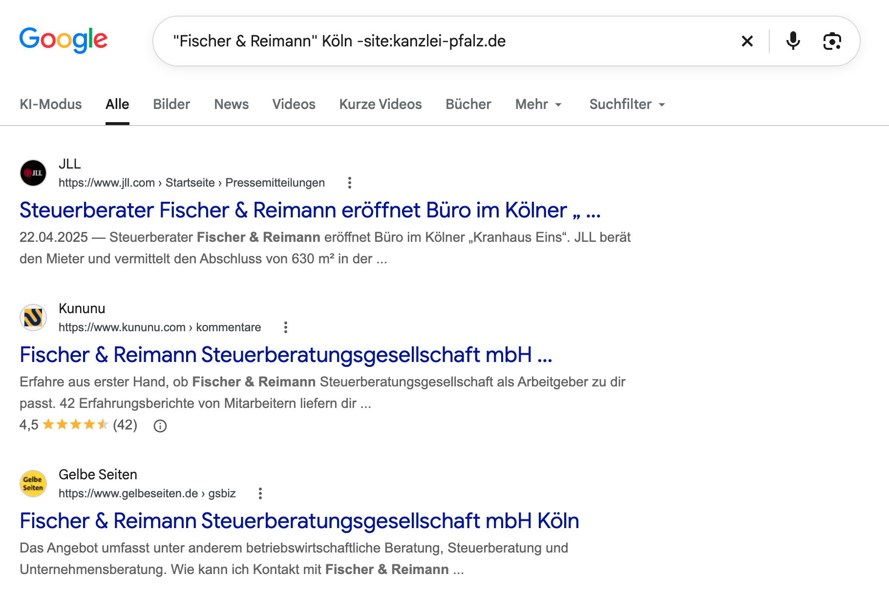 Google-Suche nach einem lokalen Unternehmen mit ausgeschlossener eigener Domain und mehreren externen Quellen.
