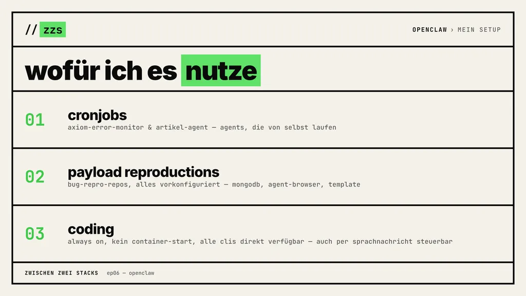 OpenClaw Use Cases: Cronjobs, Payload Reproductions und Coding